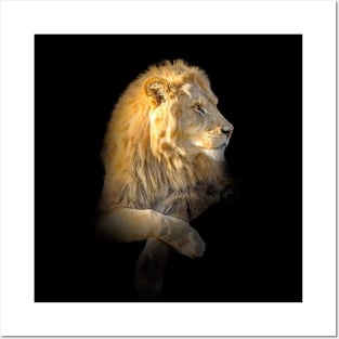 Lion Animal Wildlife Jungle Nature Safari Adventure Discovery Africa Digital Painting Posters and Art